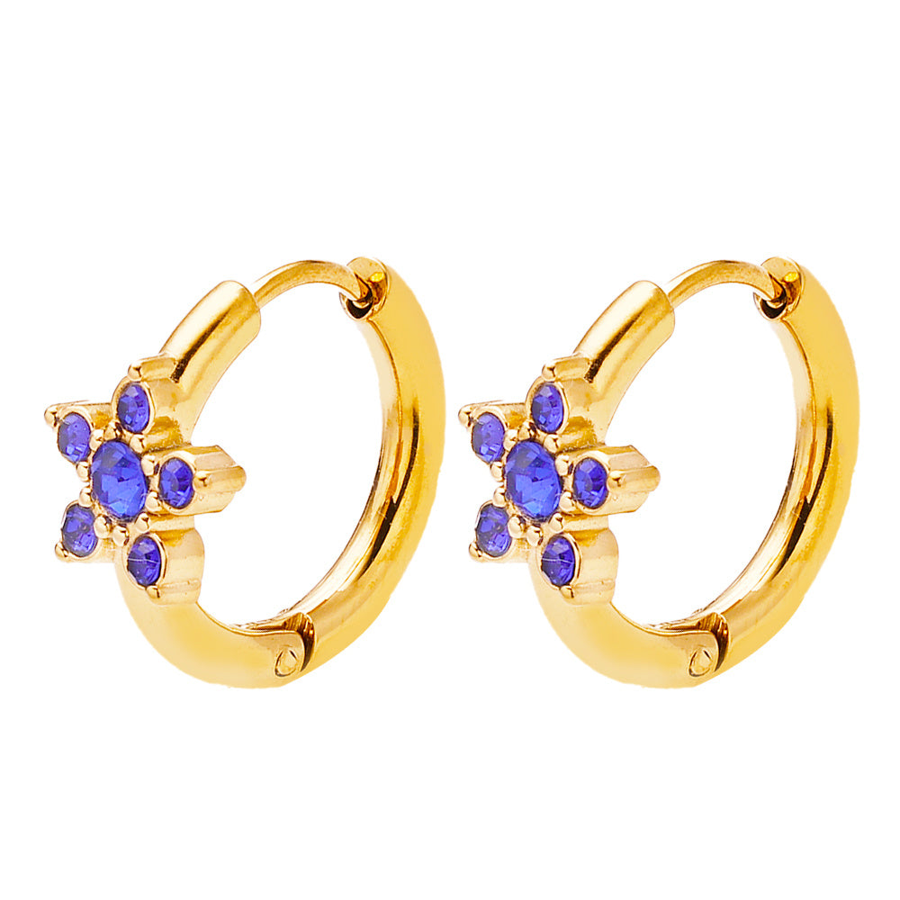 Fiora Crystal Hoop Earrings